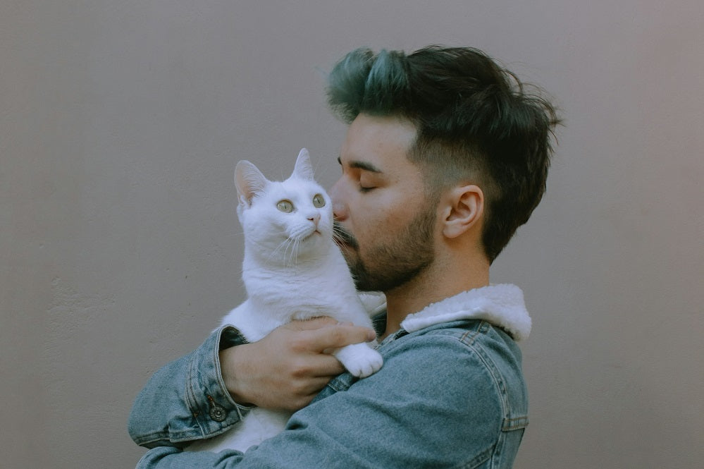 How Much Does a Cat Really Cost