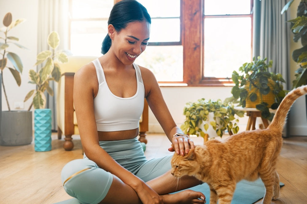 How to Bond with Your Cat