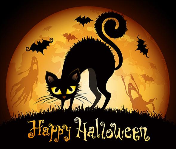 halloween cat