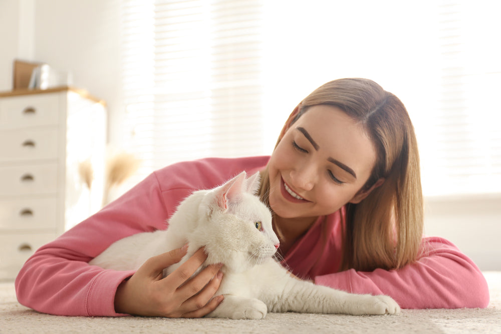Is PrettyLitter Worth It?