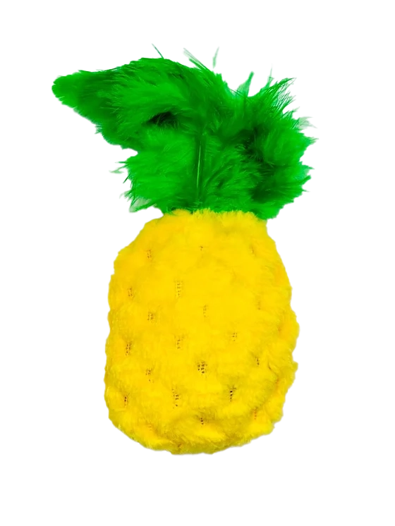 Pineapple Toy